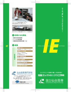 IE（表）