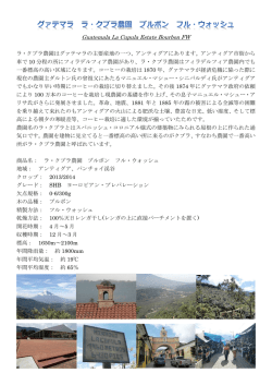 Guatemala La Cupula Estate Bourbon FW ラ・クプラ農園はグァテマラ