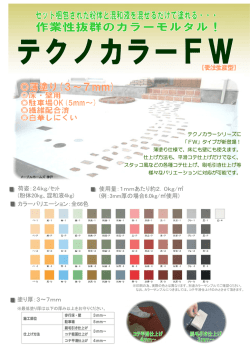 テクノカラーFW