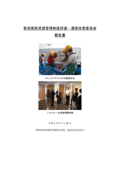 表紙・本文（P1-22）（PDF形式 1302 キロバイト）
