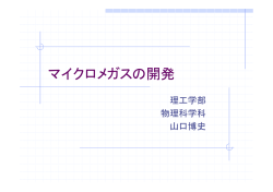 マイクロメガスの開発 - SAGA-HEP
