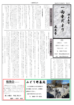 一 向 寺 だ よ り