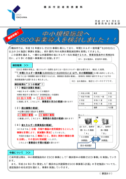 記者発表資料（PDF形式 126KB）