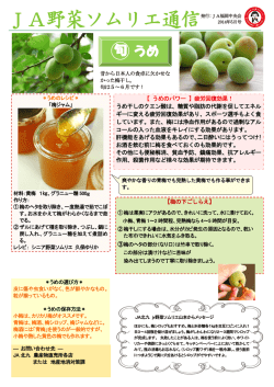 JA野菜ソムリエ通信