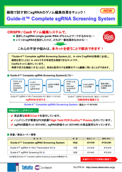 Guide-it Complete sgRNAScreening System