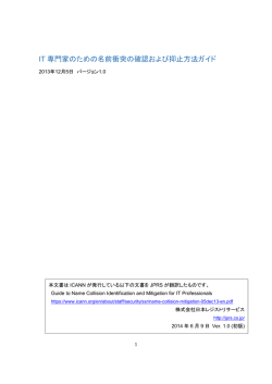 IT 専門家のための名前衝突の確認および抑止方法ガイド