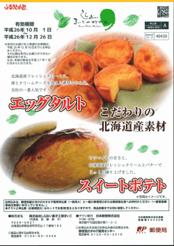 詳細PDFはこちらから