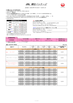 JAL 帰任パッケージ