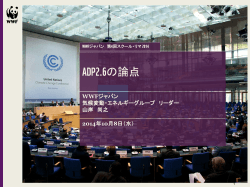 （ADP2.6）の論点 WWFジャパン 山岸尚之 （PDF/907KB）
