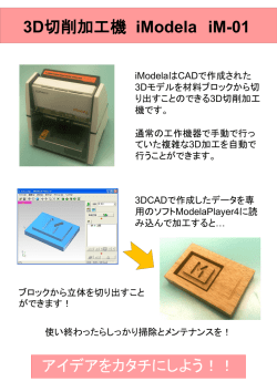 iModela iM-01