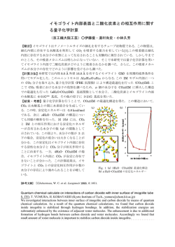 イモゴライト内部表面と二酸化炭素との相互作用に関す る量子化学計算