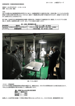 2011/3/26 JX建設グループ 無電極照明 現場設置確認