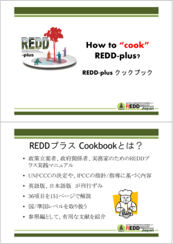 How to &ldquo;cook&rdquo; How to cook REDD-plus? プ kb kとは