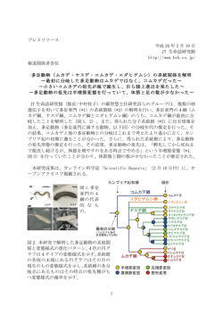 プレスリリース[pdf]はこちら。