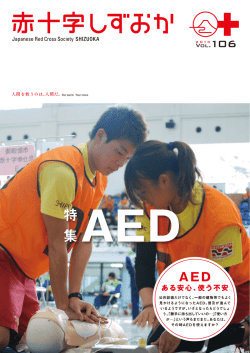 Japanese Red C「。SS S。ciety SHーZU。KA