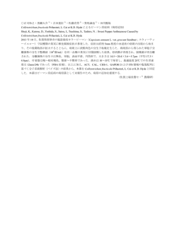 講演要旨はこちら