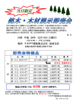 詳細情報（PDFファイル）