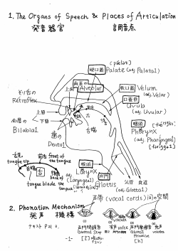 Phonetics and Phonology Handout by Keiko Mochizuki
