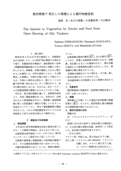 The ーnjuries t。 Vagetati。n by Sm。ke and S。。t fr。m 。pen Burning