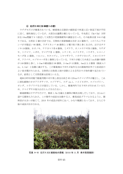 資料-25 ④ 北ガス KK（38 林班へ小班） ヤチダモだけが植栽されている