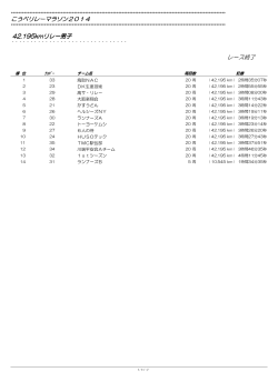 42.195kmリレー男子 こうべリレーマラソン2014 レース終了