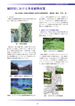 柿田川における外来植物対策／国土交通省 中部地方整備局 沼津河川