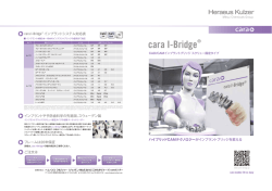 Heraeus KuーZer - cara I