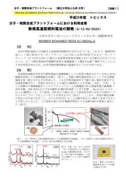 新規高温型燃料電池の開発（S-13-KU-0024）