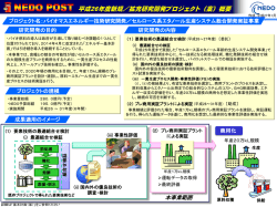 プロジェクト概要 - 新エネルギー・産業技術総合開発機構
