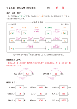 解答付き