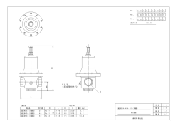 （圧力計取付けネジ） R1／8 D L H 1 H