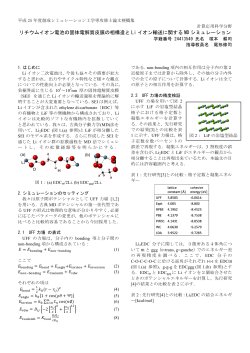 リチウムイオン電池の固体電解質皮膜の相構造と Li イオン輸送に関する