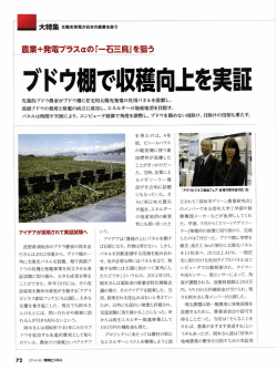 葡萄園で収穫向上 - 環境工学研究所 WEEF