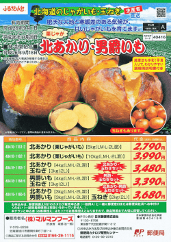 詳細PDFはこちらから