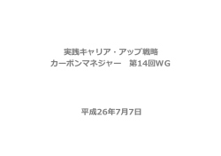 （第14回カーボンマネジャーWG） (PDF形式：359KB)