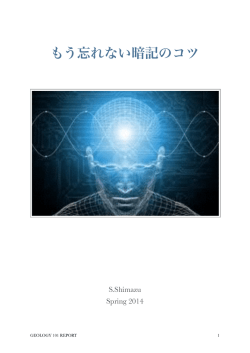 メルマガ登録用ビンドゥーメソッドレポート