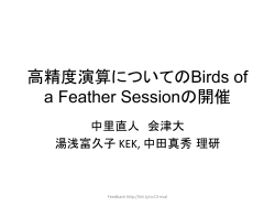 高精度演算についてのBirds of a Feather Sessionの開催