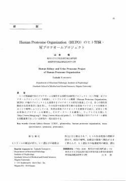 Human Pr。te。me 。rganizati。n (HUP。) の ヒ ト 腎臓 ・ 尿