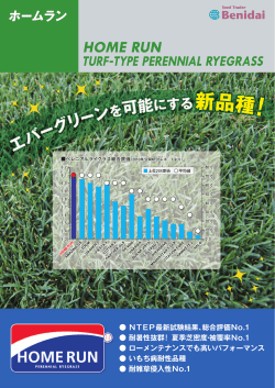 H。ME RUN