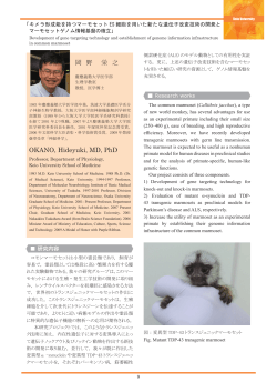 岡 野 栄 之 OKANO, Hideyuki, MD, PhD