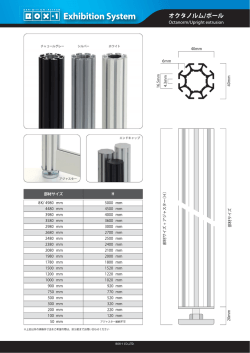 ロロ國田 Exhibiti。n System オクタノルムノボール