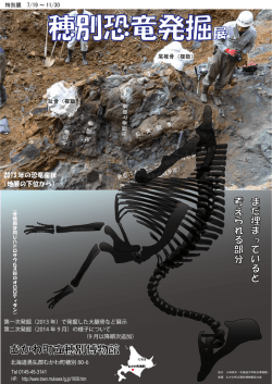 ポスター(pdf)