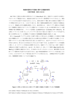 触媒的窒素分子変換反応に関する理論的研究