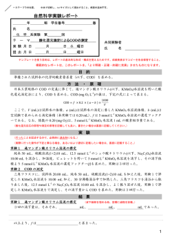 レポートの様式(pdf)
