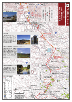 桜公園 富士山樹空の森Mt.Fuji jyuku Forest
