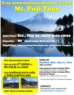 Mt. Fuji Tour