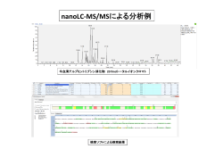 nanoLC-‐MS/MSによる分析例