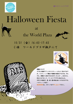 HW Fiesta poster