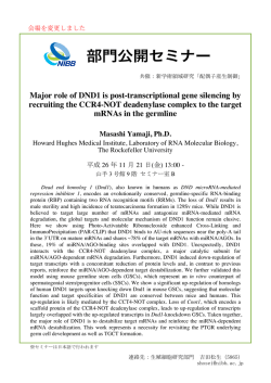 Major role of DND1 is post-transcriptional gene silencing by