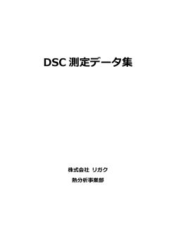 DSC（PDF:431KB）